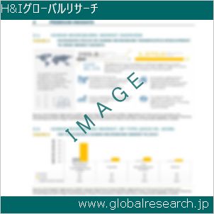グローバルリサーチ調査レポートのイメージ